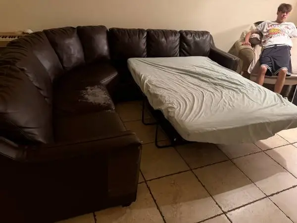 Large L shaped sleeper sofa
