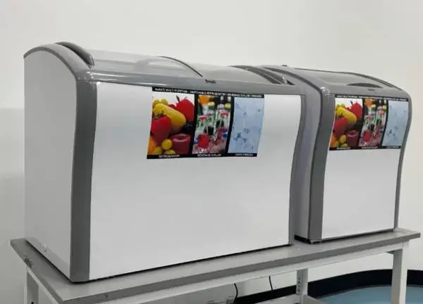Pair Avanti Commercial Chest Freezers