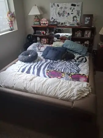 Free King Size water bed frame