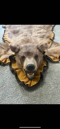 Black Bear Rug