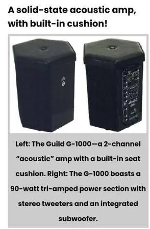 guitar amp 🌟 GUILD / Randall USA ▪︎ ultra rare Guild G1000 guitar amp