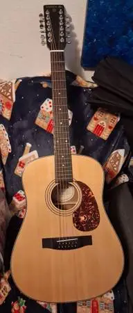acoustic guitar • SAMICK 12-string guitar