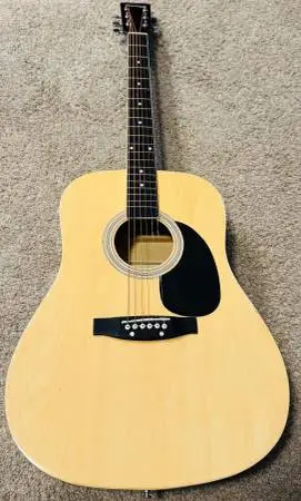 Huntington Acoustic Guitar NEW STRINGS & PRO SETUP!