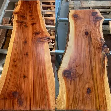 Live Edge Wood Slabs