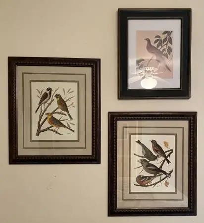 Lot of 3 pictures