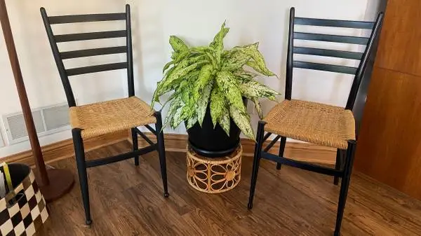 Vintage Italian Ladderback Chairs