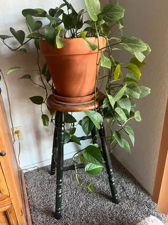 Wooden Stool