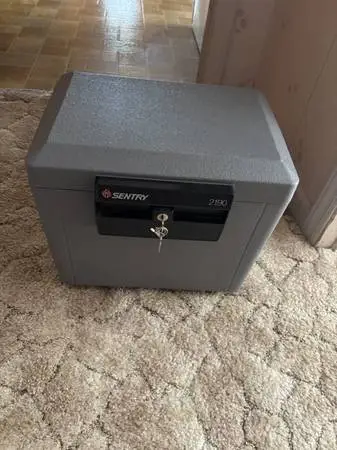 Sentry safe