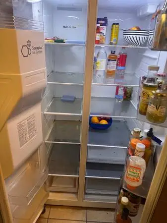 4 year old LG refrigerator