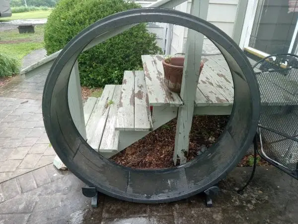 Cat Wheel