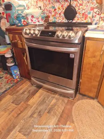 Convenentional Oven LG Samsung w Remote Access Online