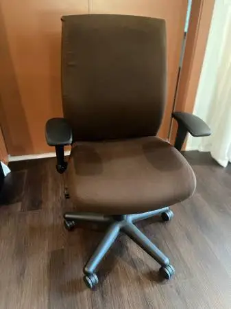 Fully Adjustable Executive Desk Chair