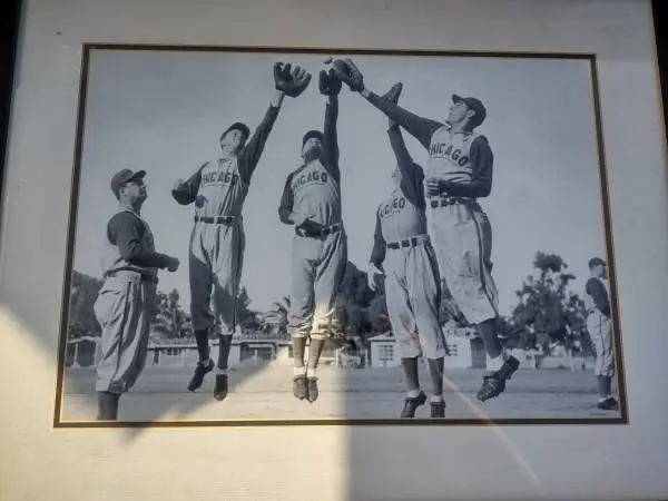 Chicago Cubs Baseball Picture Framed and Matted 28x23