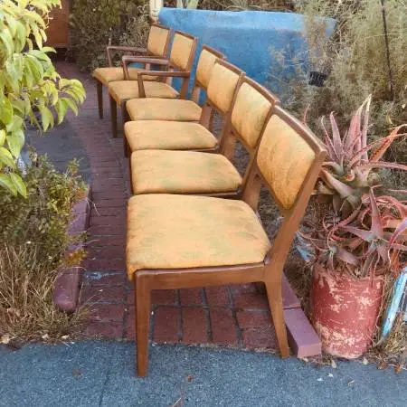 Set 6 MCM Drexel Edward Wormley “Perception” Dining Chairs/Ready