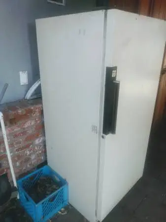 Amanda 15 cuft Stand up freezer