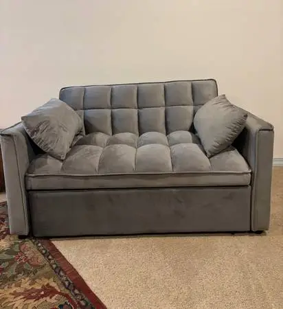 Couch love seat with pull out sleeper