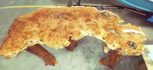 Custom Wilderness inspired Multi use table