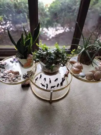 Glass Table to Display