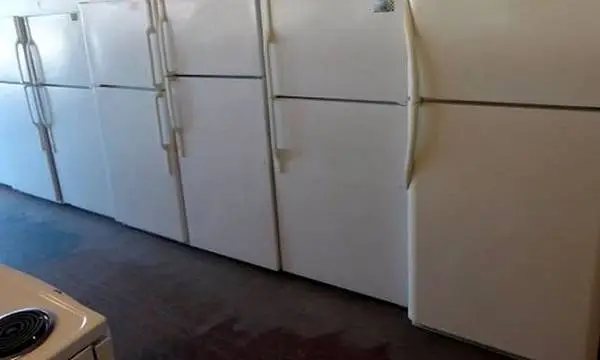 Top freezer standard size refrigerator