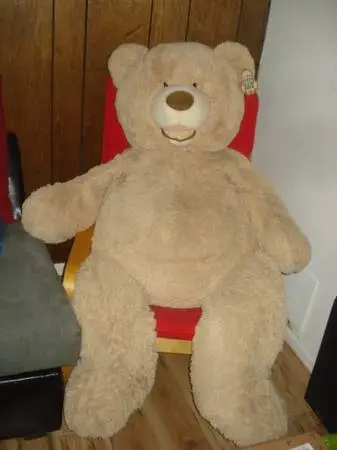 Teddy Bear 53