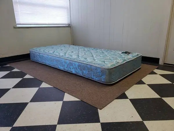 Twin size mattress - can DELIVER almost anywhere for $20 extra