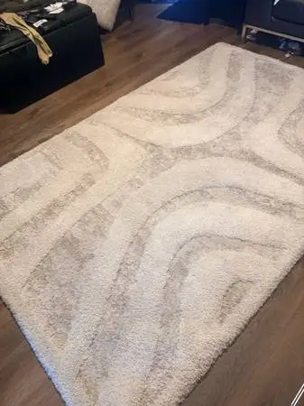 5 x 8 shag area rug