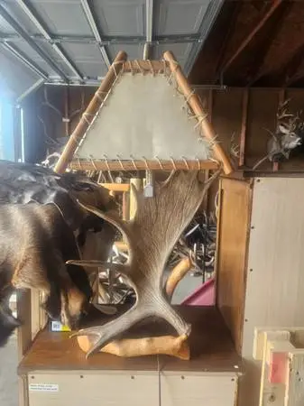 Moose antler lamp