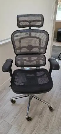 Office Chair - Ergohuman Eurotech