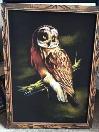 Owl Picture