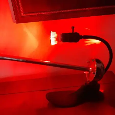 Art light Shoehorn