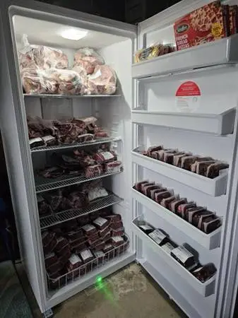 Auto defrost upright freezer
