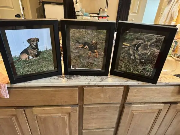 PICTURES FRAMED  (5) NICE WALL PIC. FRAMES