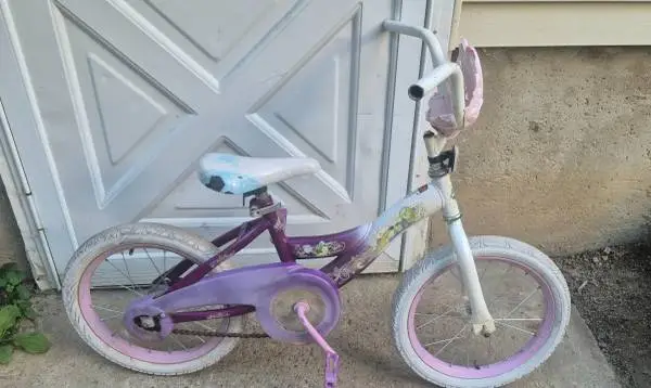 Girls 16 Bicycle