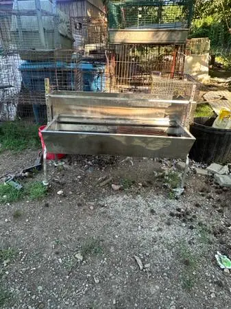 Hog roaster with motor