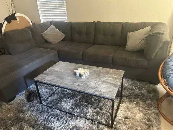 LV Large Tan/Gray Couch