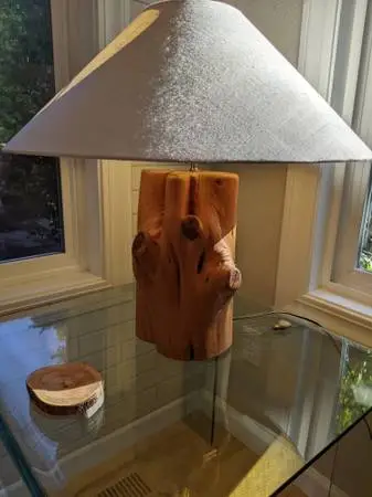 Vintage natural wood stump / branch table lamp