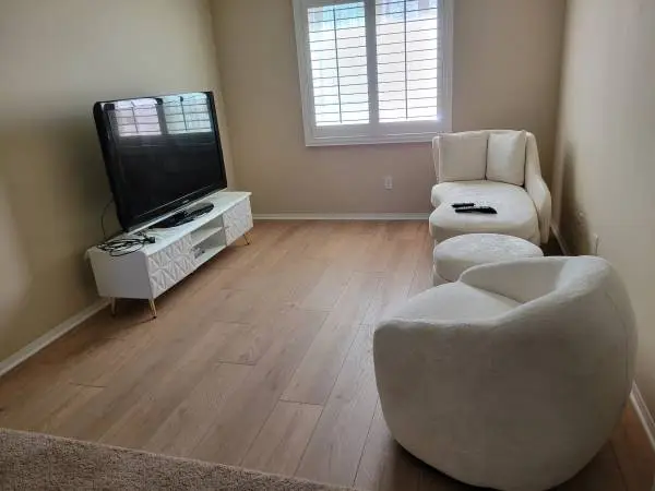 Cute decorative couches with TV & TV stand