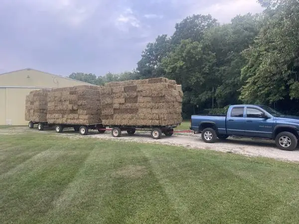 Wheat Straw Bales