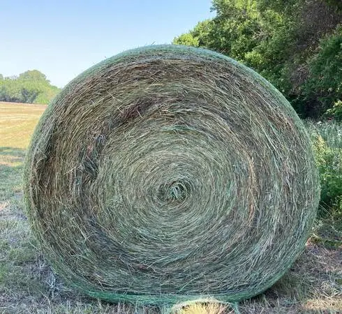 Brome round bales (weedy)