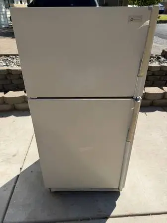 Garage refrigerator delivered