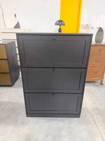 Lasherrie Black Shoe Storage Cabinet with 3 Flip Drawers Holds 18 Pair