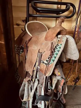 Circle T saddlery full rough out roping Saddle