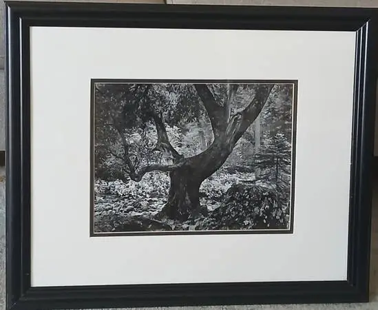 Ansel Adams Early Morning Merced River 1950 Photograph Framed