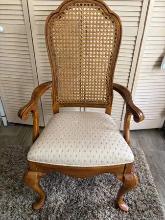 Cushioned Parlor Chair (Very Sturdy)