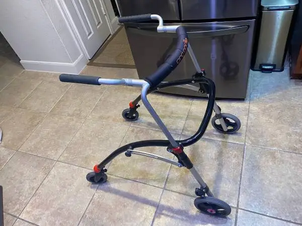 Crocodile Special Child Training Walker