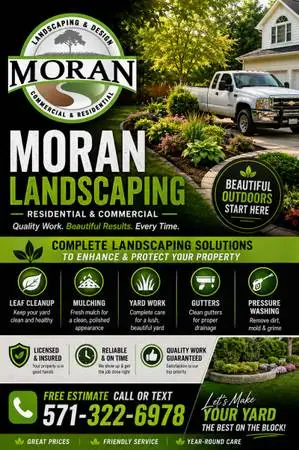 YARD CLEAN UP🍃LANDSCAPING🌳MULCHING, TREE REMOVAL👷🏽‍♂️