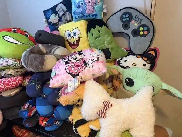 Stuff Animals, Decorating & Travel Pillows