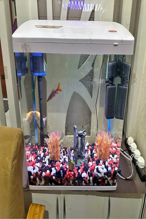 Complete Molded Aquarium Setup with Live Fish for Sale (Urgent - Shifting) in Indirapuram