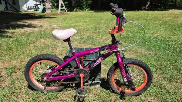 Tony Hawk Ginger Kids Bike with Pegs