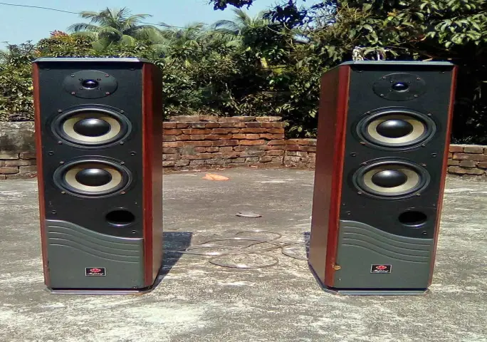 Maple leaf DVD-2000 2way/3 speaker Bass Reflex System 280 watt ,90 db 6 Ohms Maple leaf Computer &